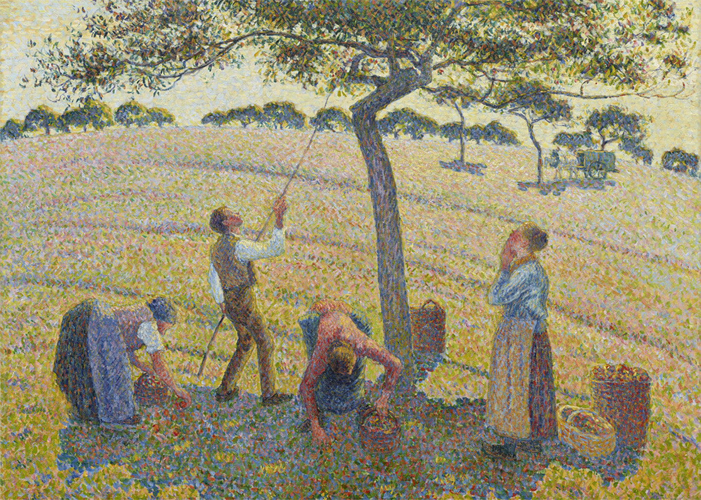 Cuadro Apple Harvest (Pissarro)