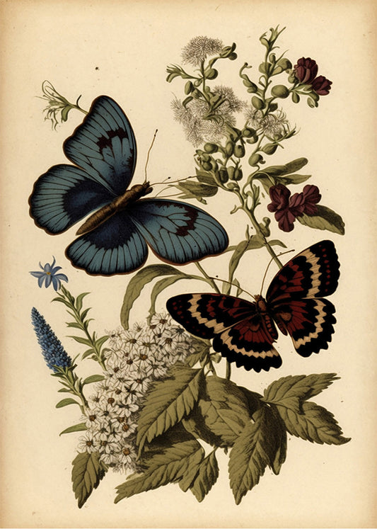 Cuadro Mariposas y flores dibujadas