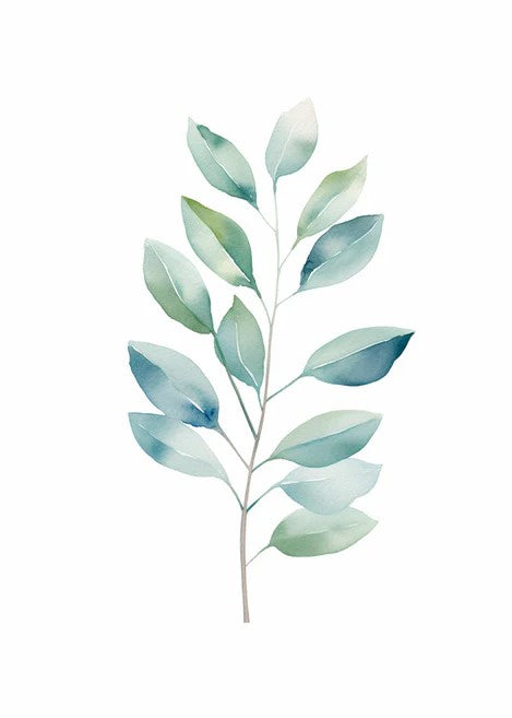 Hojas de eualipto IV