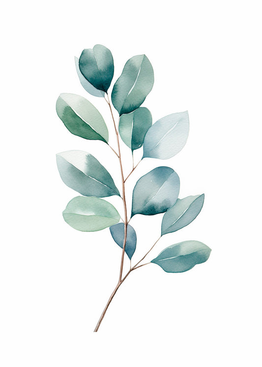 Cuadro Hojas de eucalipto II