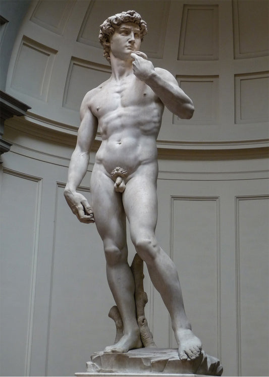David de Miguel Ángel (Michelangelo)