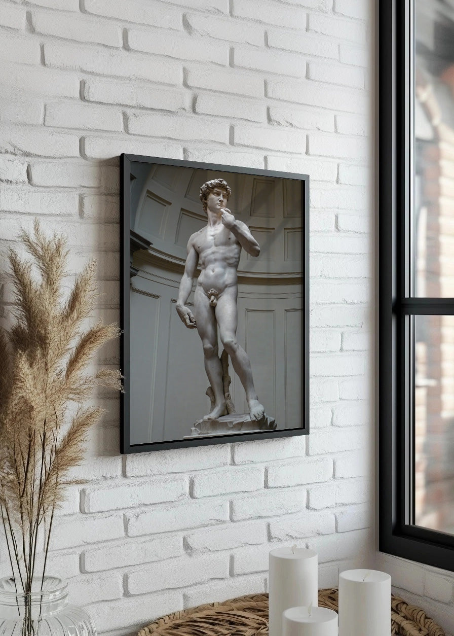 David de Miguel Ángel (Michelangelo)