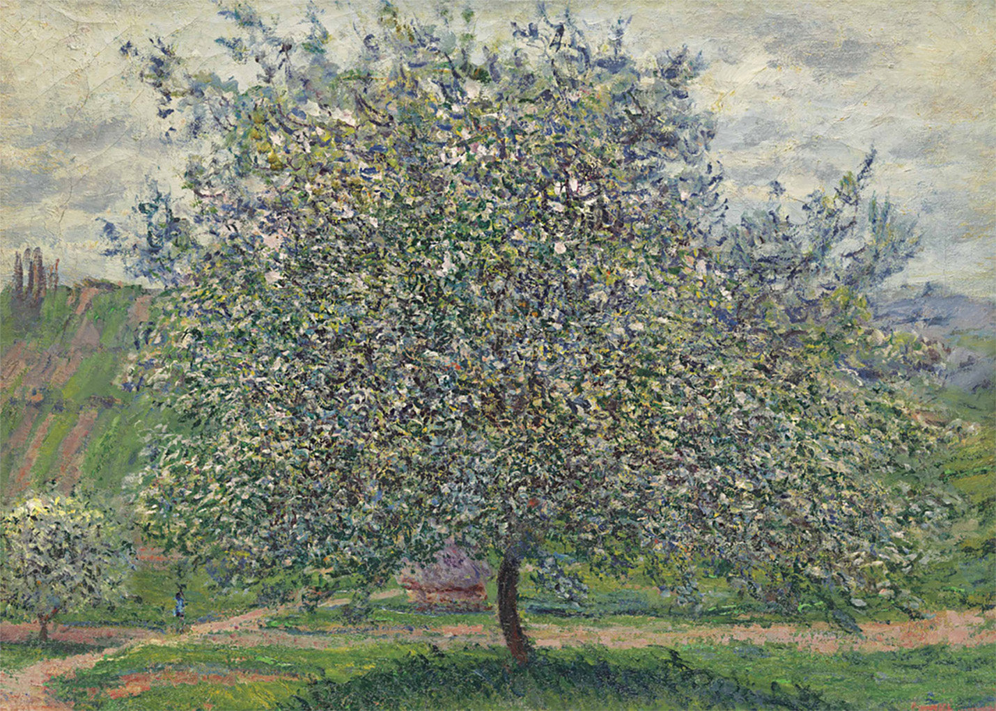 Cuadro El Manzano (Claude Monet)