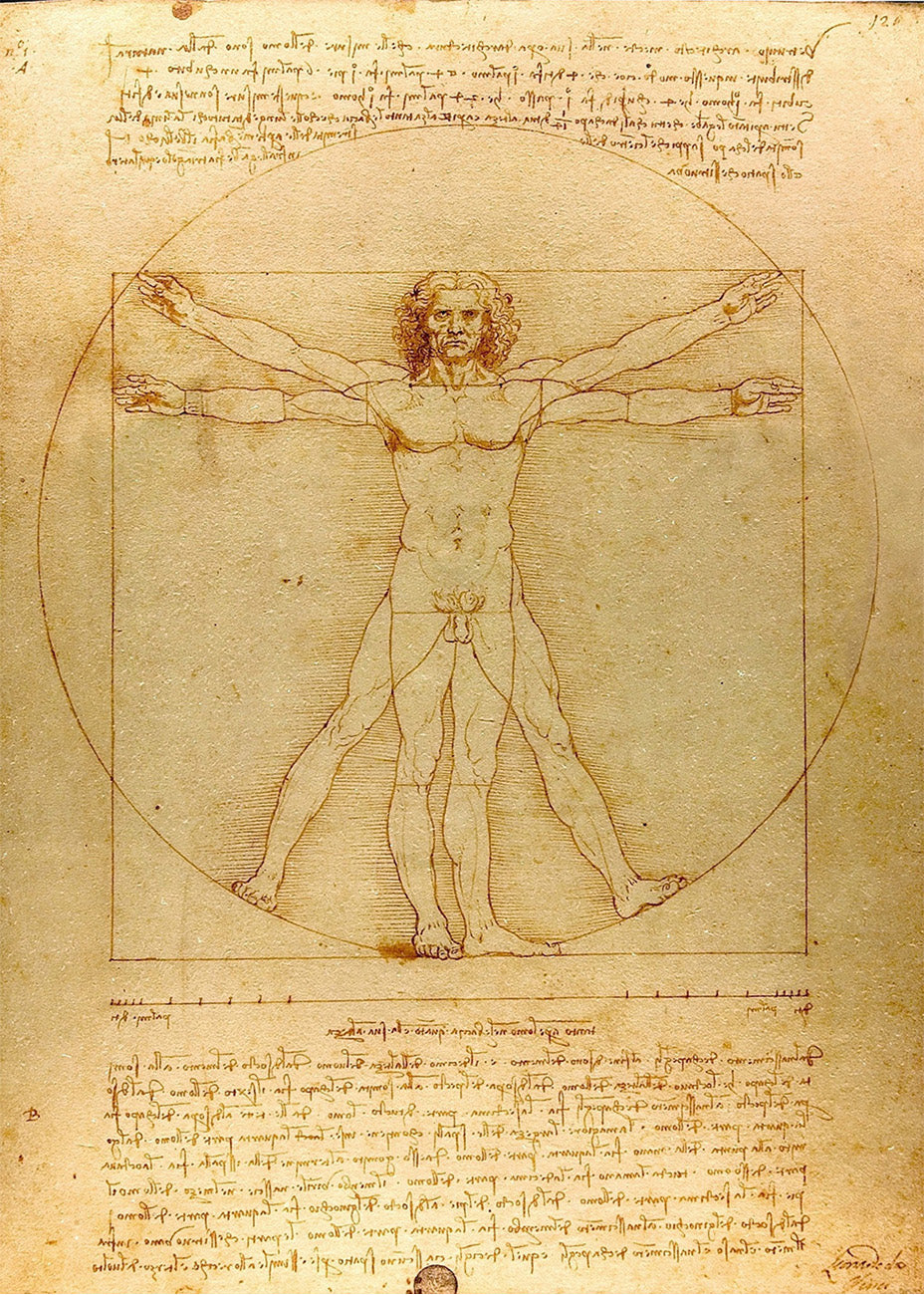 Cuadro El hombre de Vitruvio (Leonardo Da Vinci)