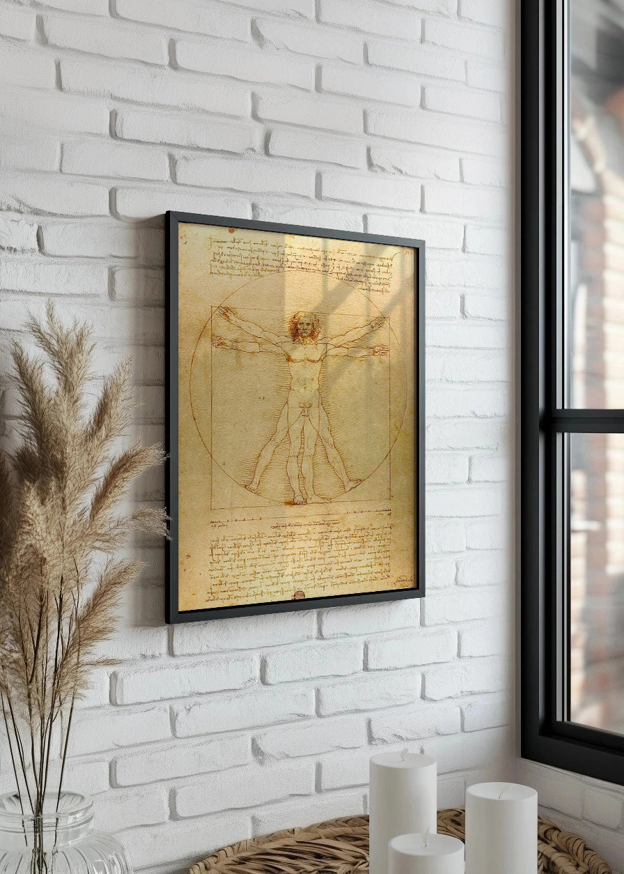 Cuadro El hombre de Vitruvio (Leonardo Da Vinci)