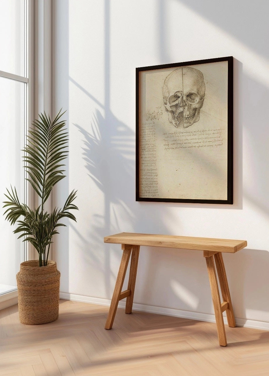 Cuadro Estudio del cráneo humano (Leonardo Da Vinci)