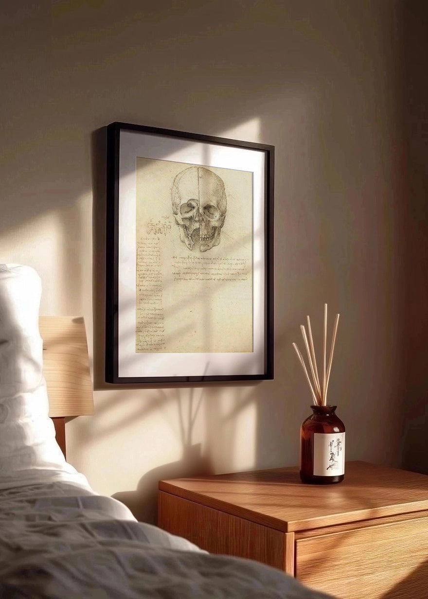 Cuadro Estudio del cráneo humano (Leonardo Da Vinci)