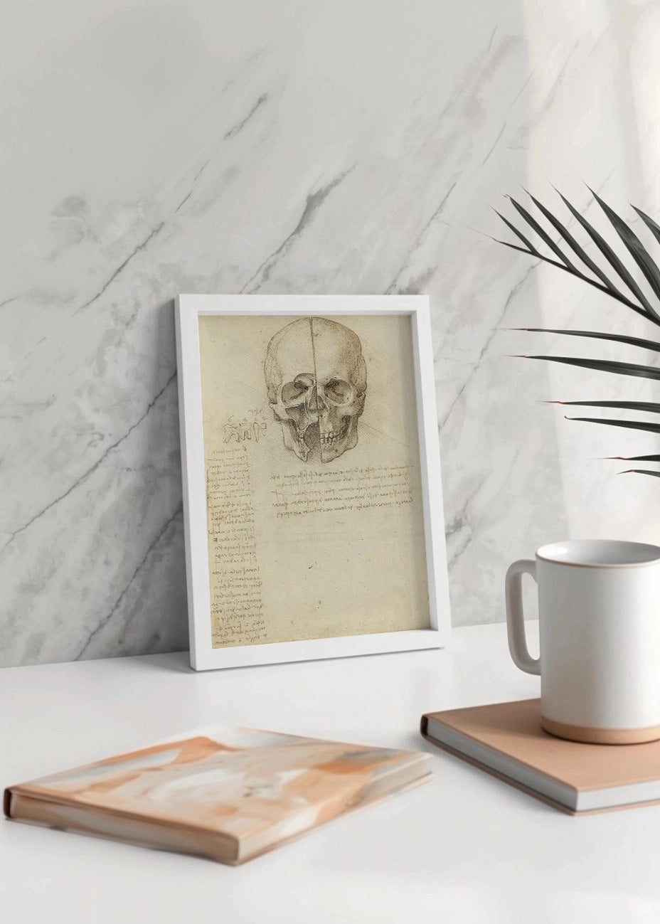 Cuadro Estudio del cráneo humano (Leonardo Da Vinci)