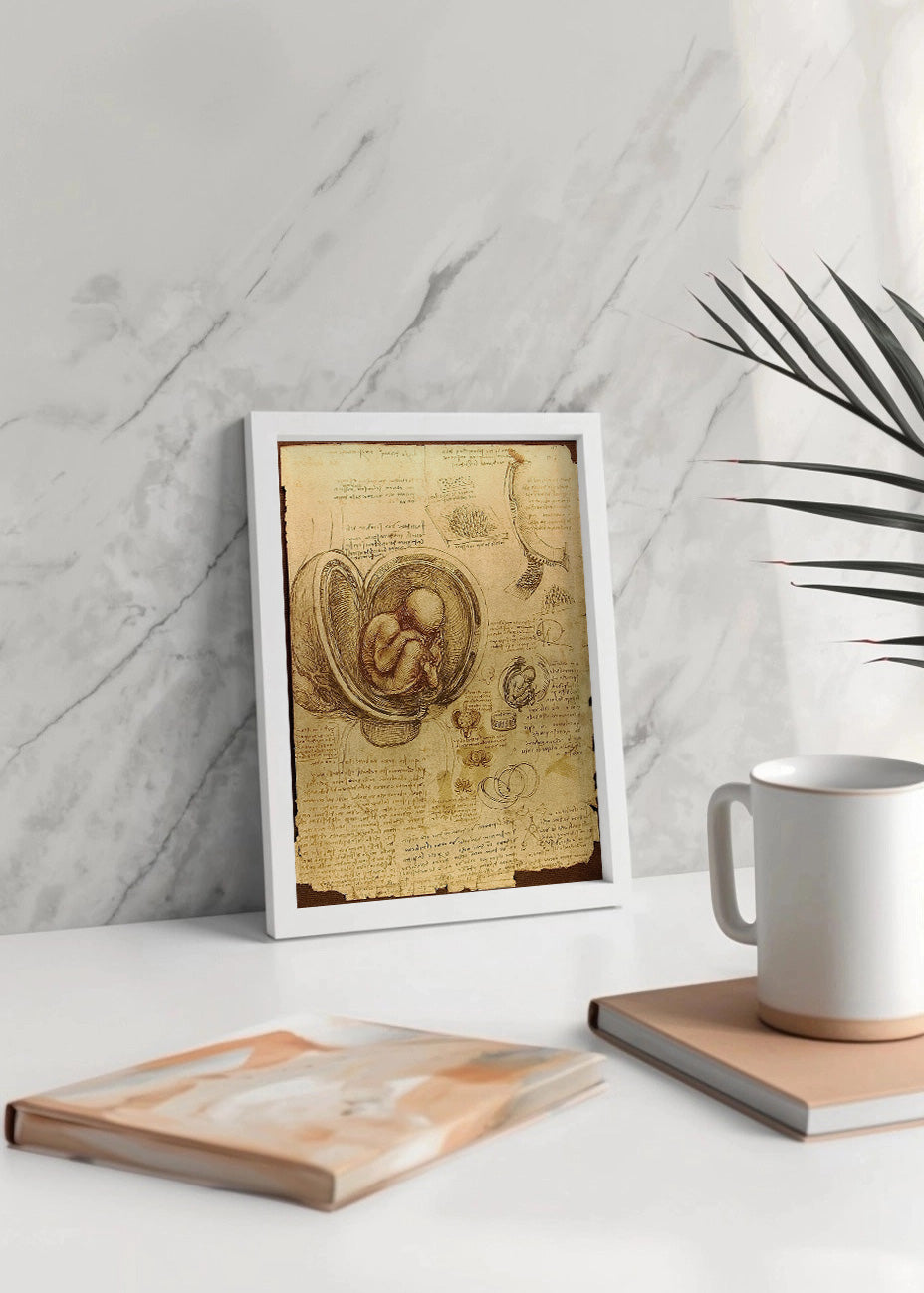 Cuadro Estudios de embrión en el útero (Leonardo Da Vinci)