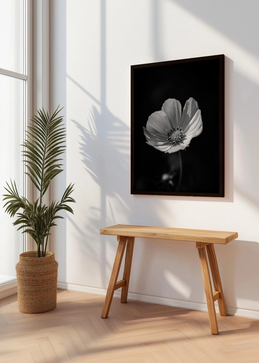 Cuadro Flor con fondo negro