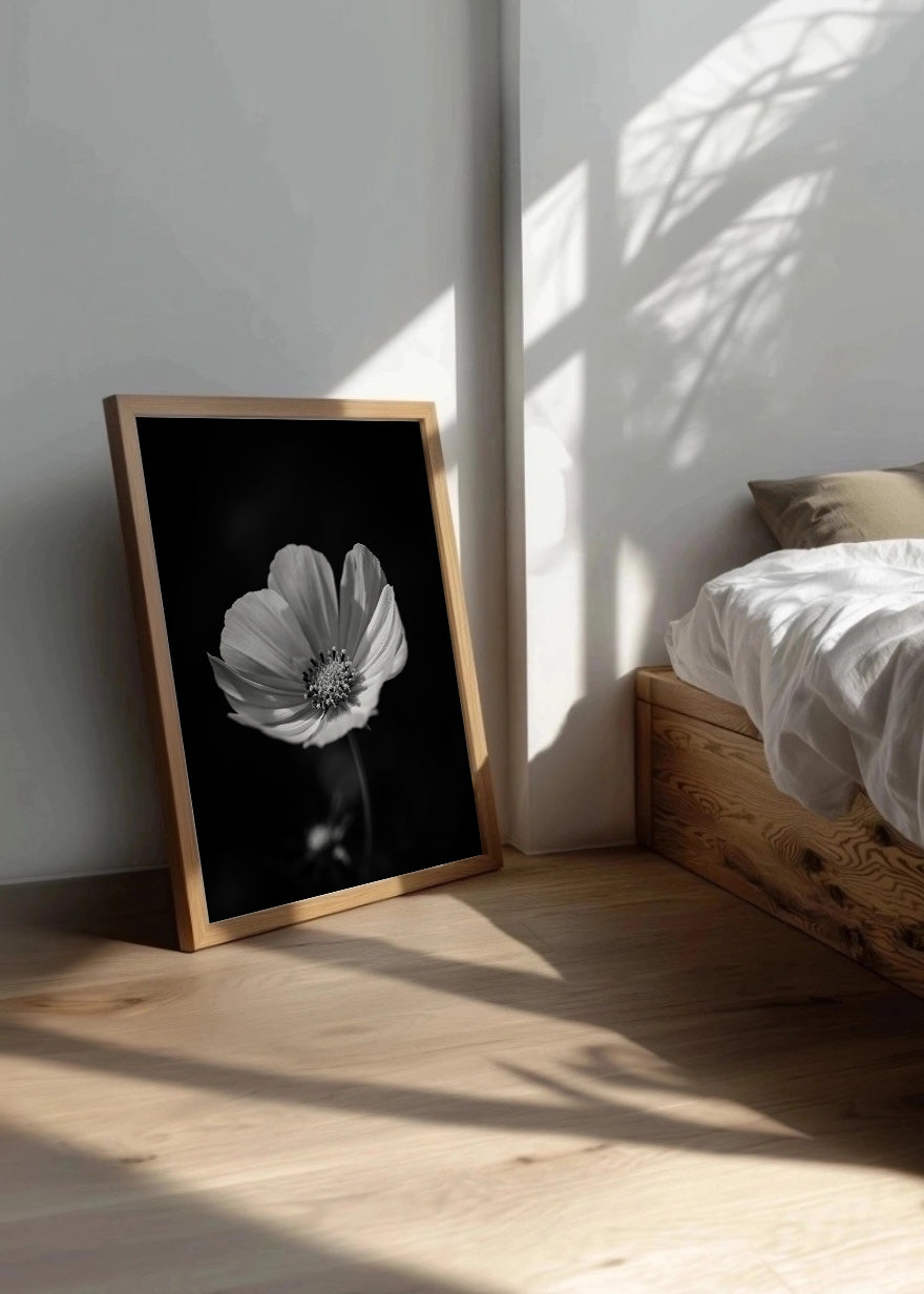Cuadro Flor con fondo negro