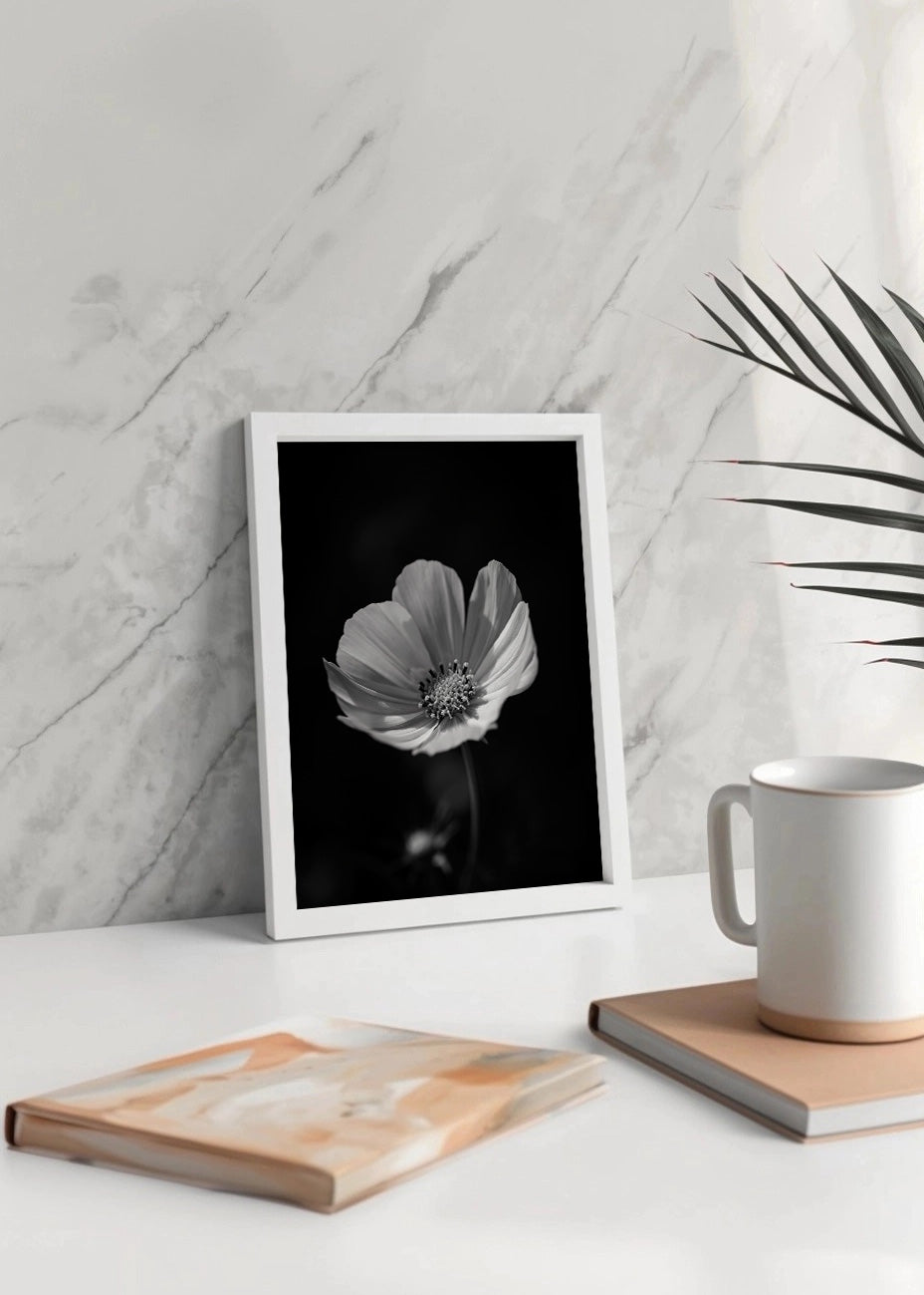 Cuadro Flor con fondo negro