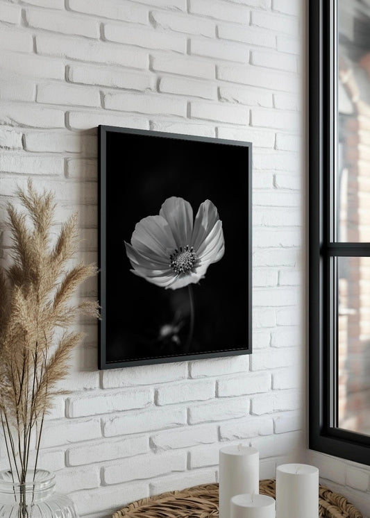 Cuadro Flor con fondo negro