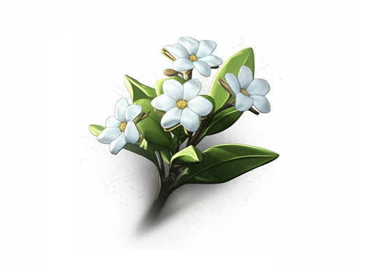 Cuadro Flores de hada