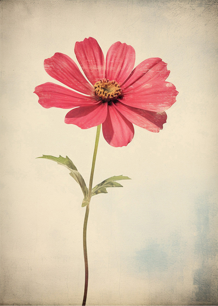 Cuadro Flor estilo vintage