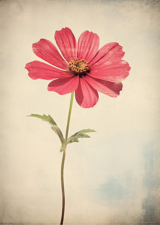 Cuadro Flor estilo vintage