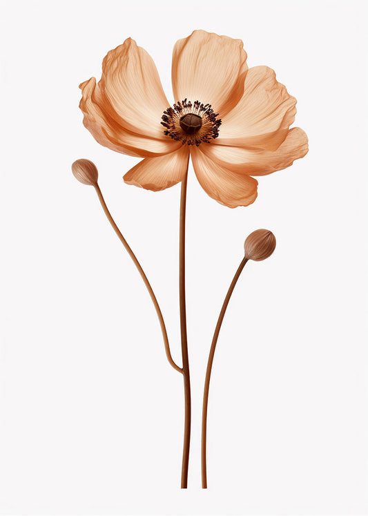 Cuadro Flor Naranja (minimalist)