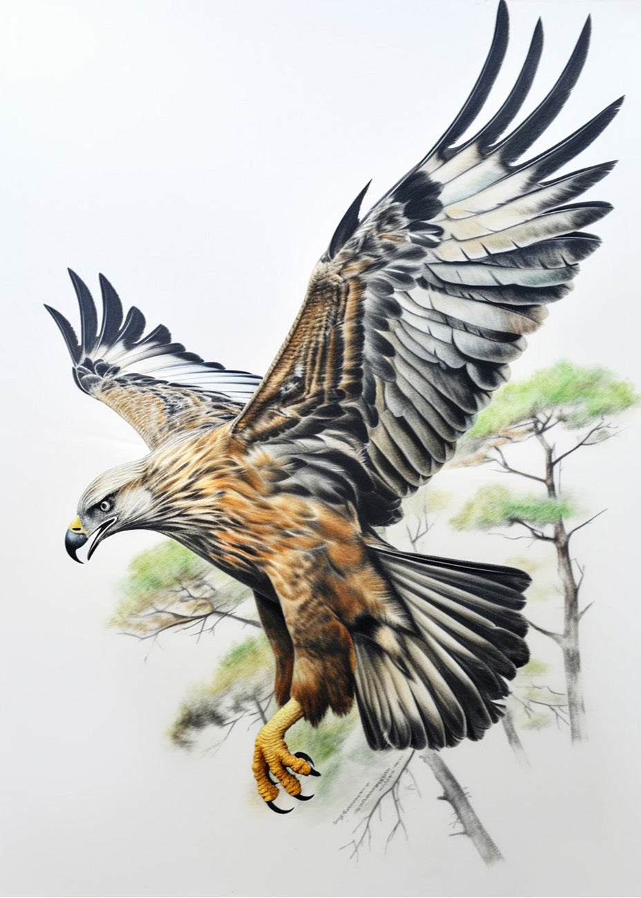 Cuadro Flying eagle