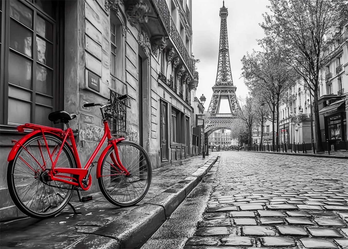 Cuadro La bici de la Torre Eiffel