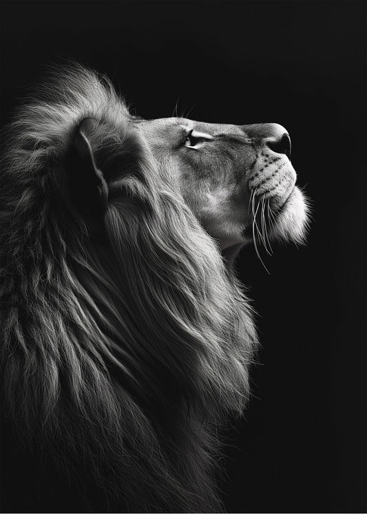 Cuadro León fondo negro