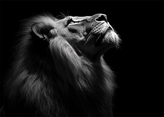 Cuadro León negro alfa