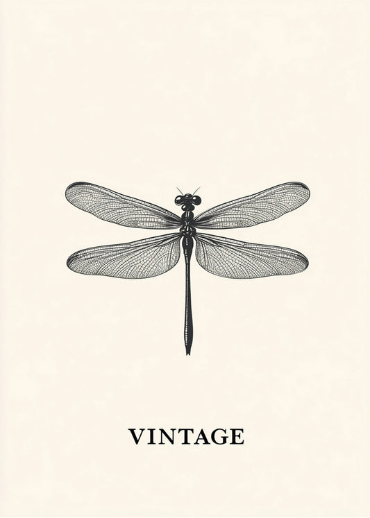 Cuadro Libélula blanca y negra vintage