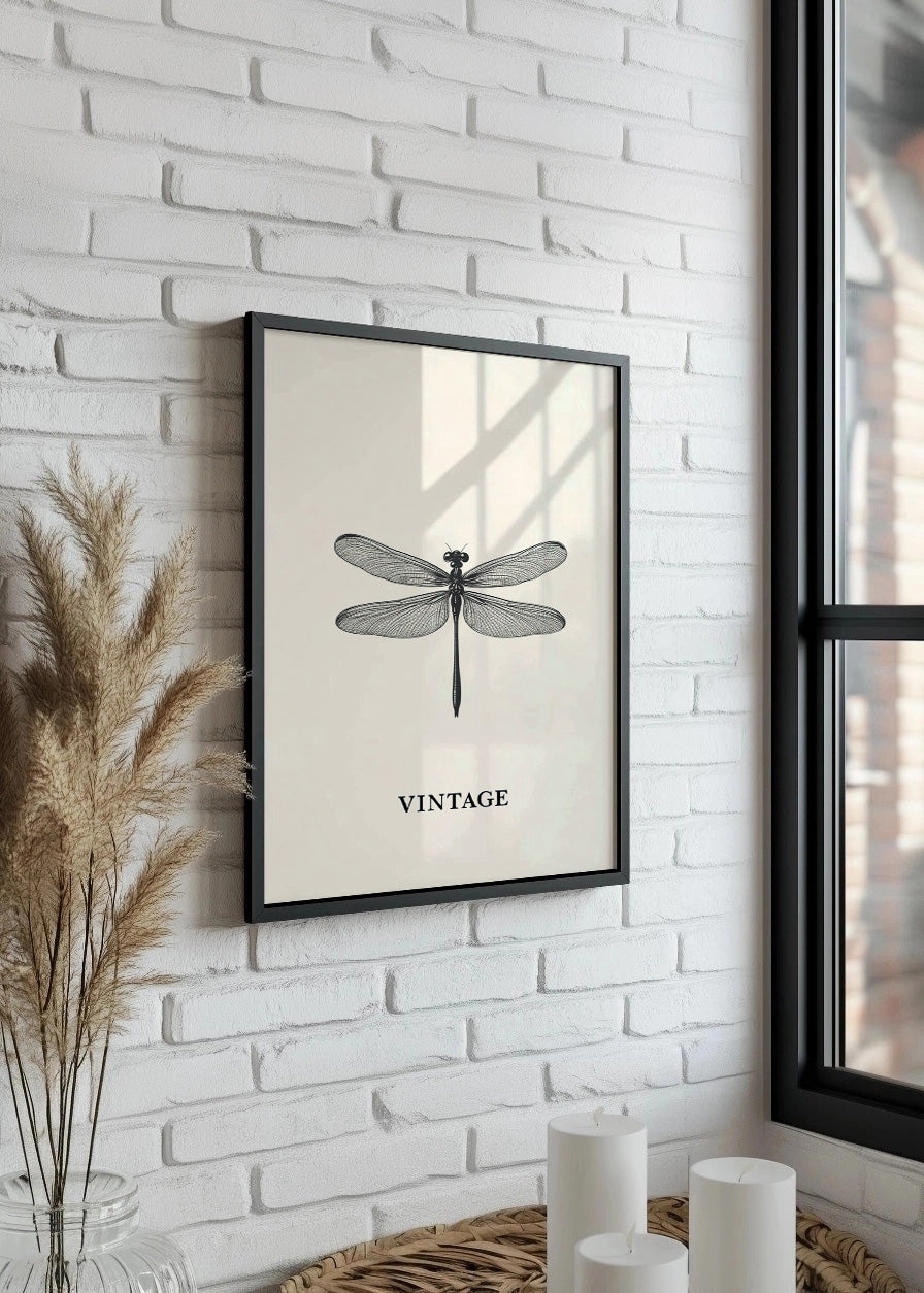 Cuadro Libélula blanca y negra vintage