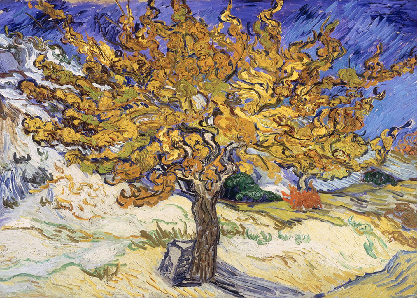 Cuadro ​Maulbeerbaum (Van Gogh)
