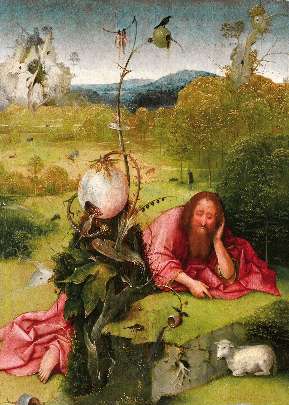 Cuadro San Juan Bautista en meditación (El Bosco)