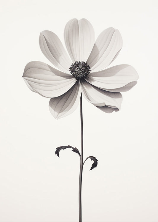 Cuadro Serenity flower