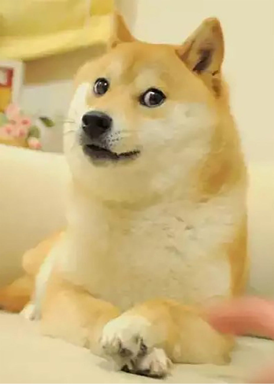 Cuadro Shiva Perro Doge