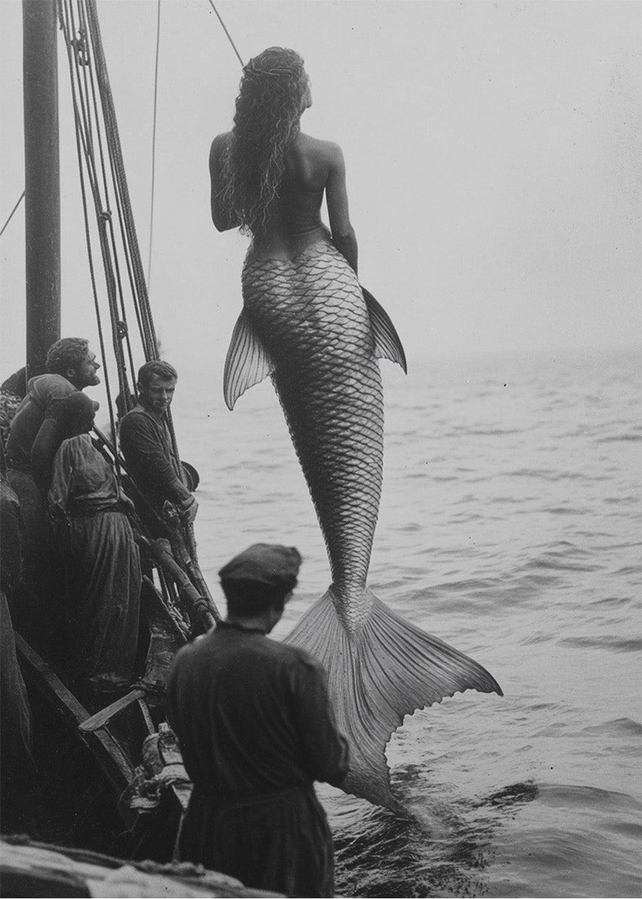 Cuadro Sirena realista