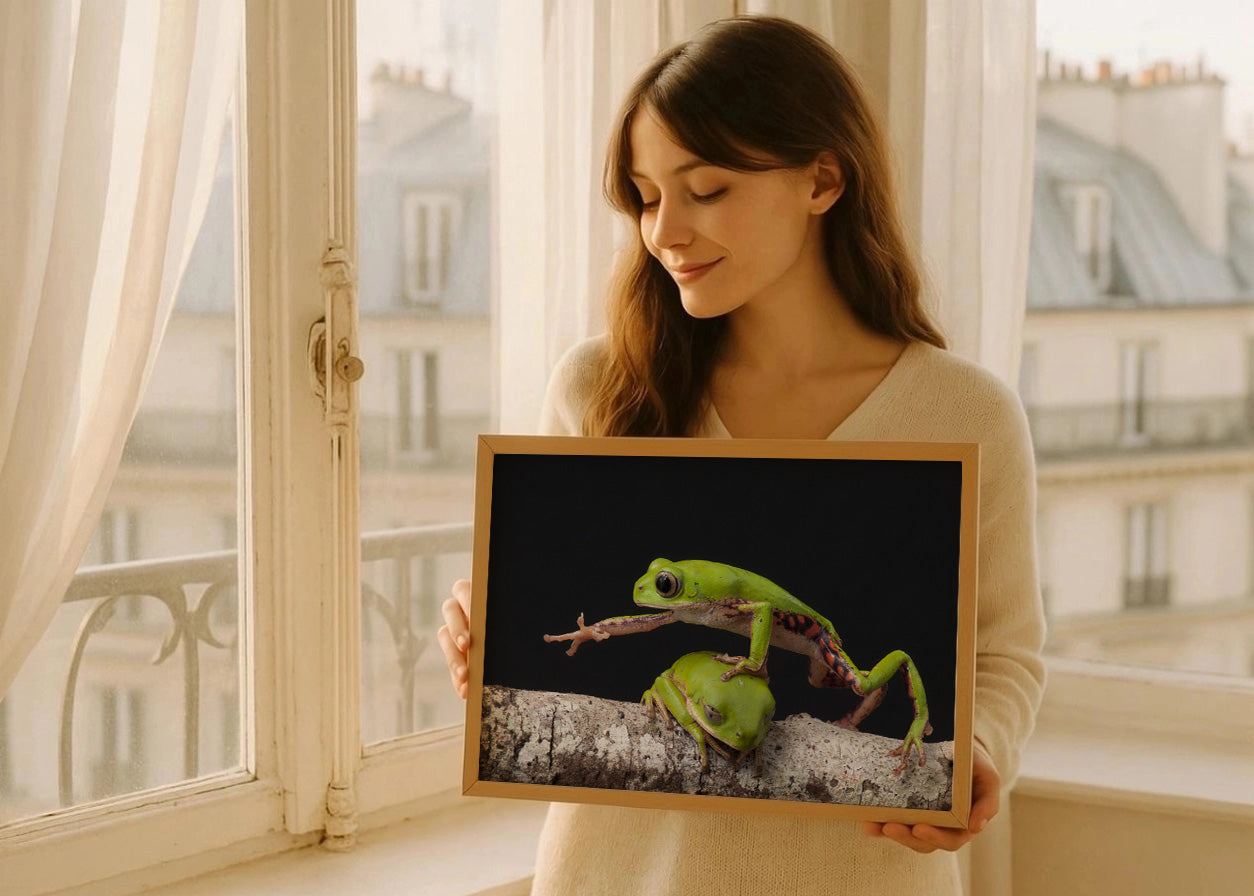 Cuadro Fotografía de ranas