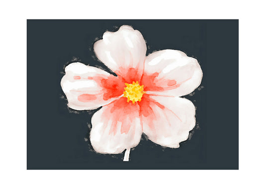 Cuadro Flor sobre negro