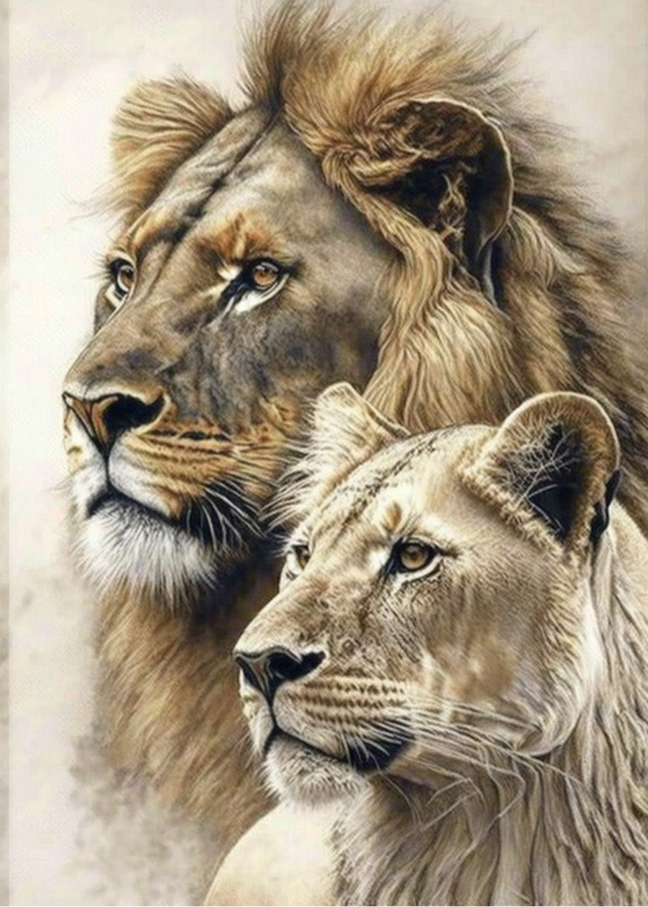 Cuadro León y leona mirando de perfil