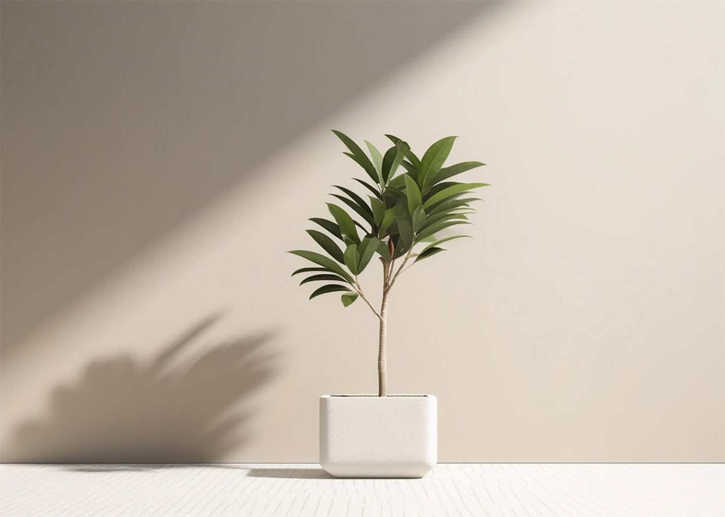 Cuadro Plant: Green wall