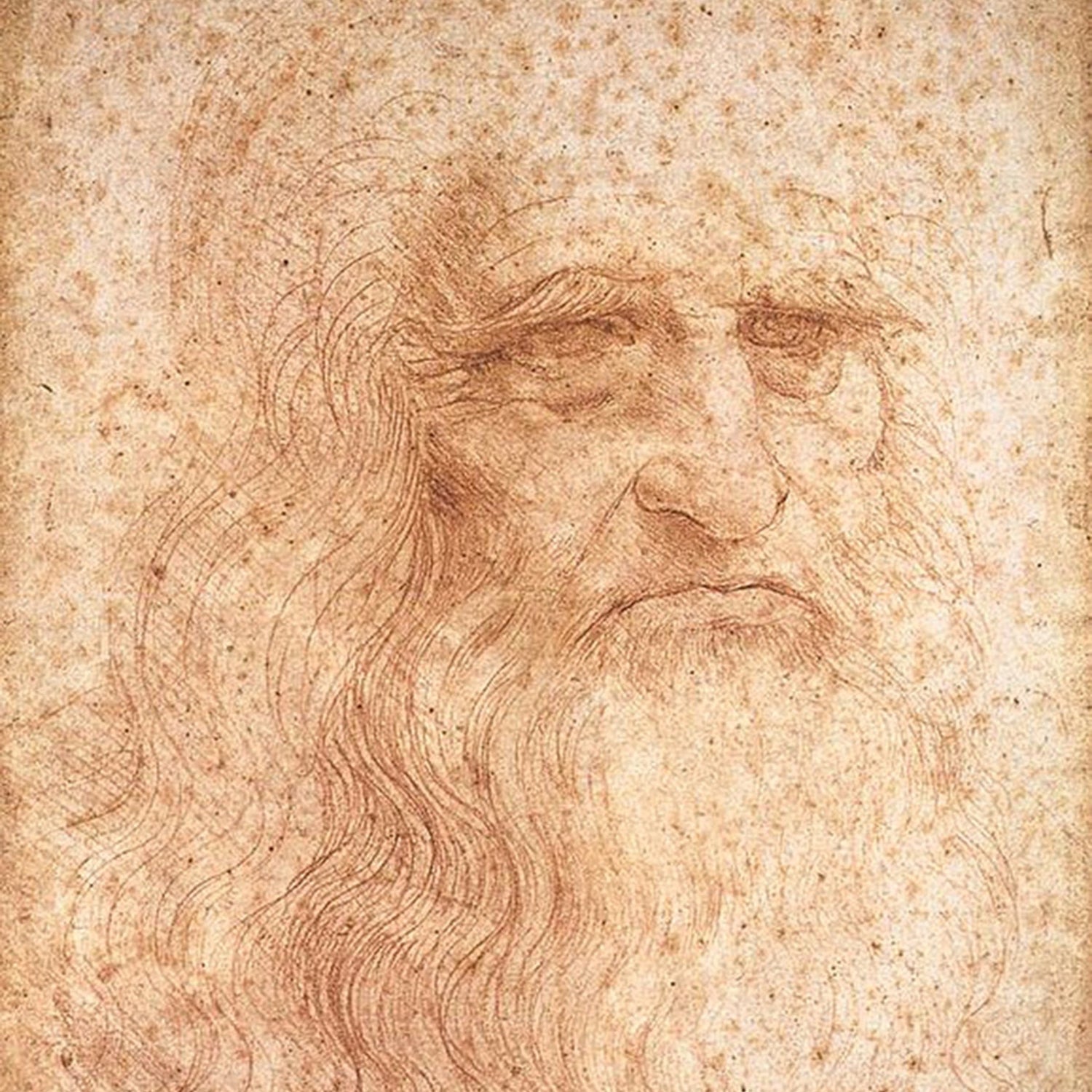 Cuadros de Leonardo Da Vinci