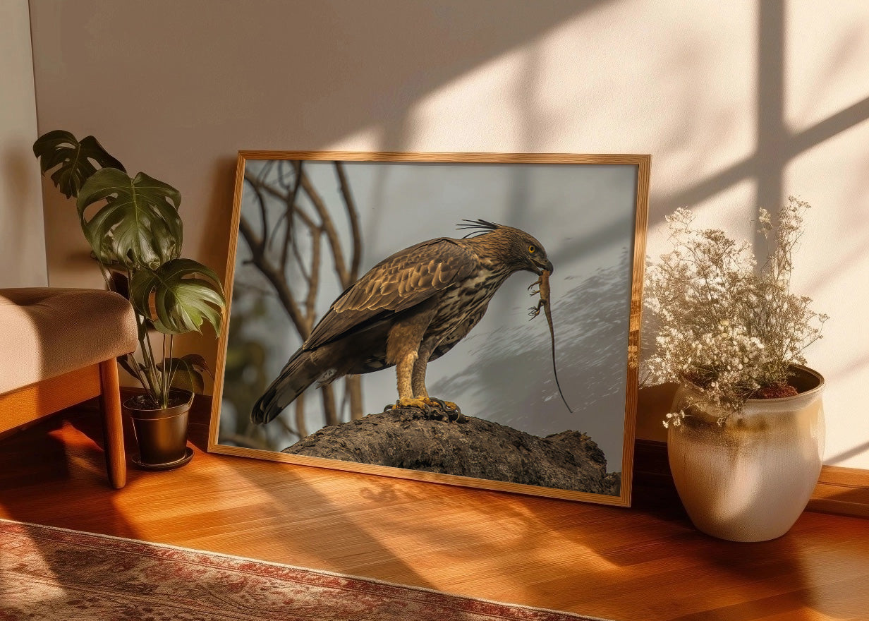 Cuadro ​Águila Azor cazando un lagarto