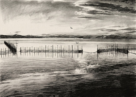 Cuadro Albufera de Valencia efecto lápiz