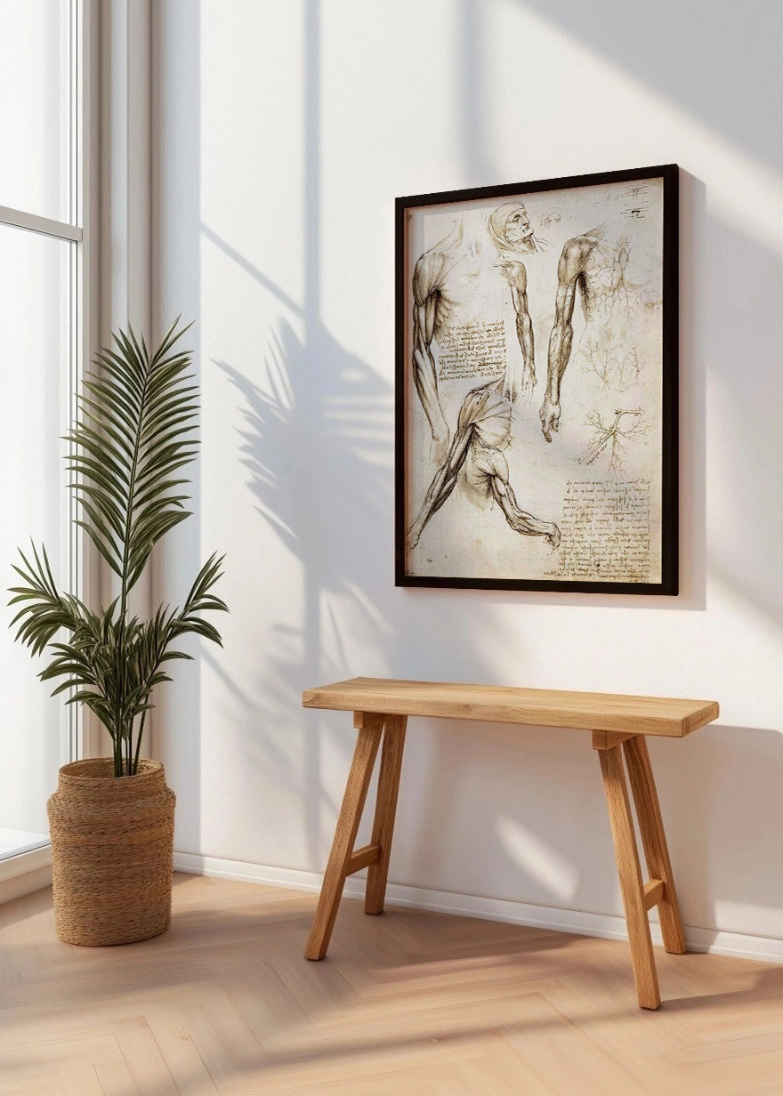 Cuadro ​Anciano de Florencia (Leonardo Da Vinci)