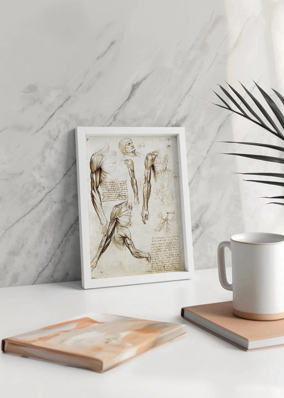 Cuadro ​Anciano de Florencia (Leonardo Da Vinci)