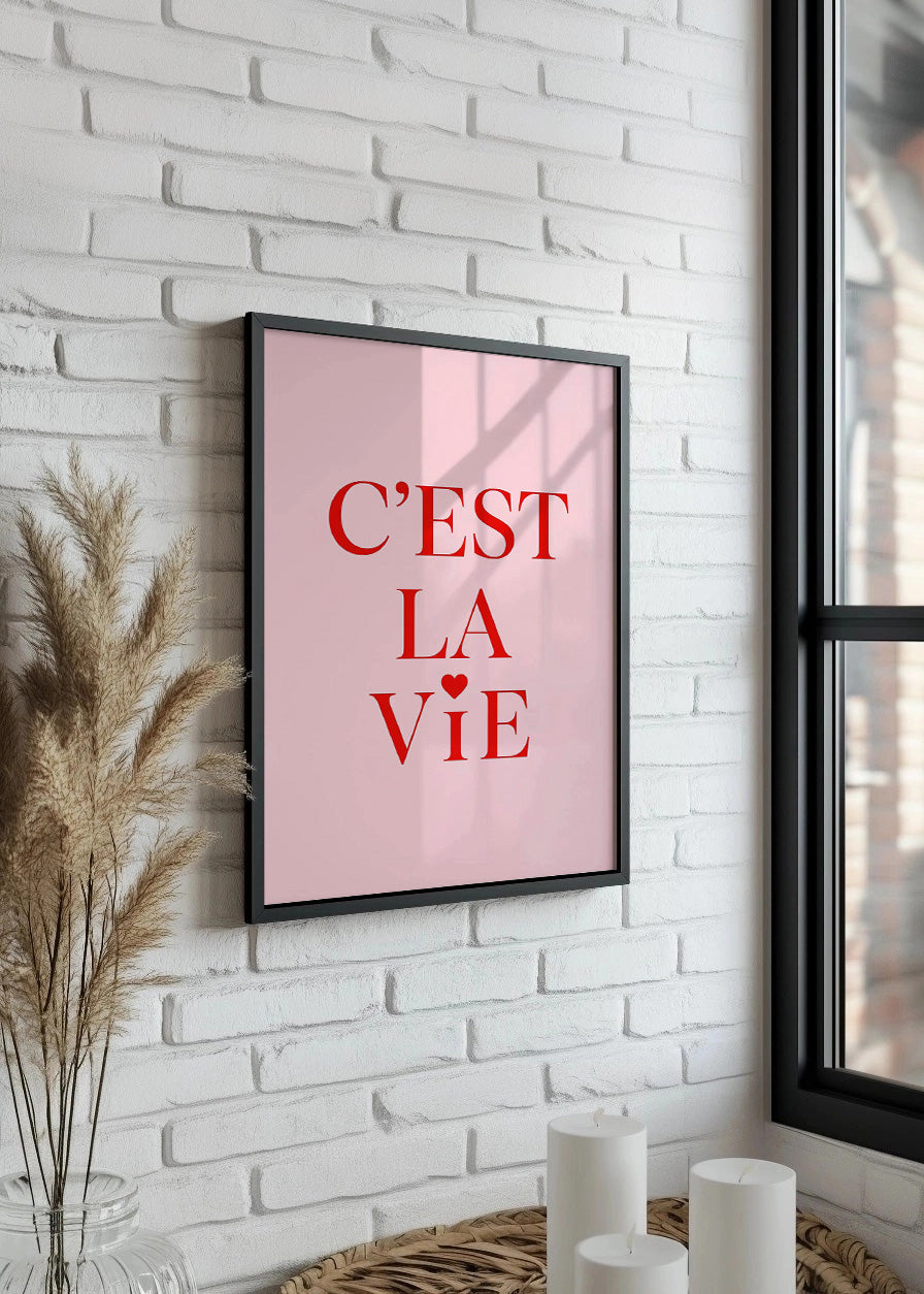 Cuadro C est la vie