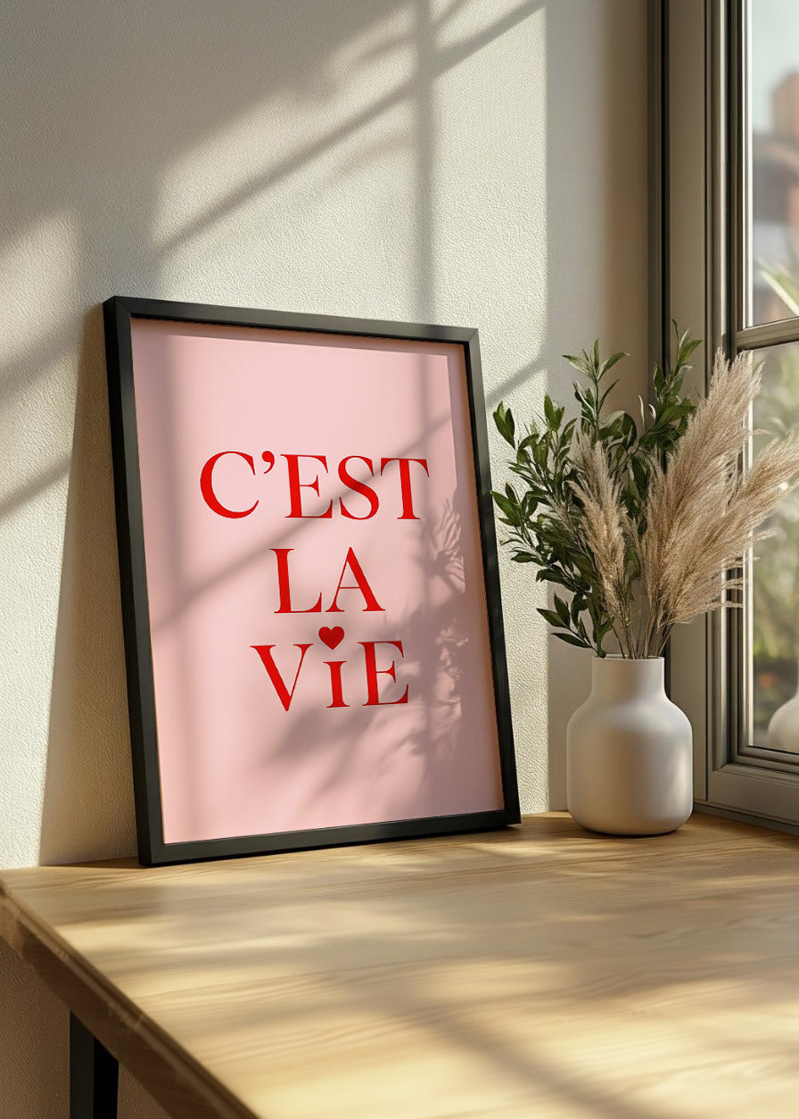 Cuadro C est la vie