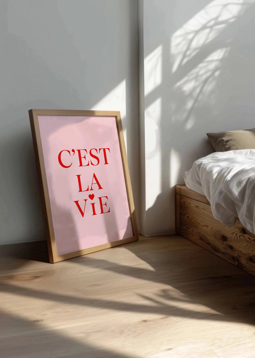 Cuadro C est la vie