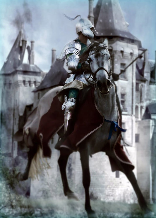 Cuadro ​Caballero medieval