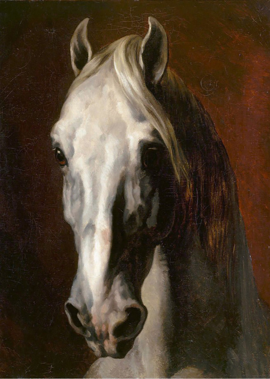 Cuadro ​Cabeza de un caballo blanco (Theodore Gericault)