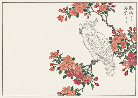 Cuadro Cacatúa sobre las flores