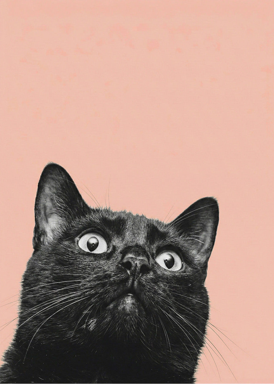 Cuadro Cat pasado