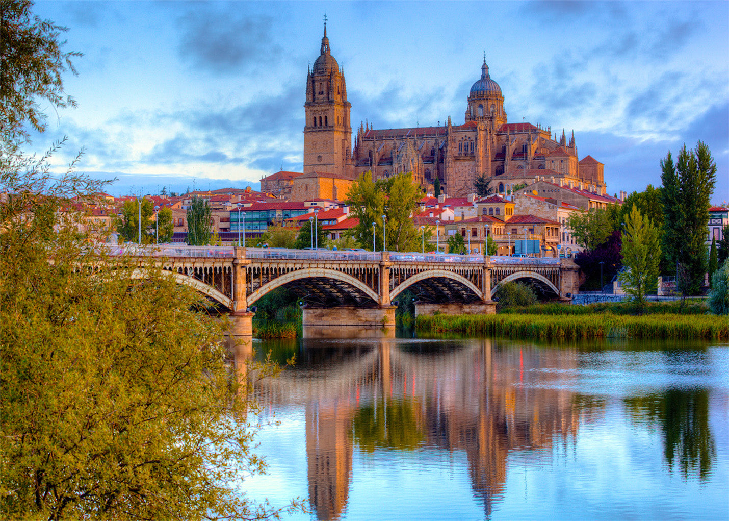 Cuadro Catedral de Salamanca (CC BY-SA 2.0 por jiuguangw)