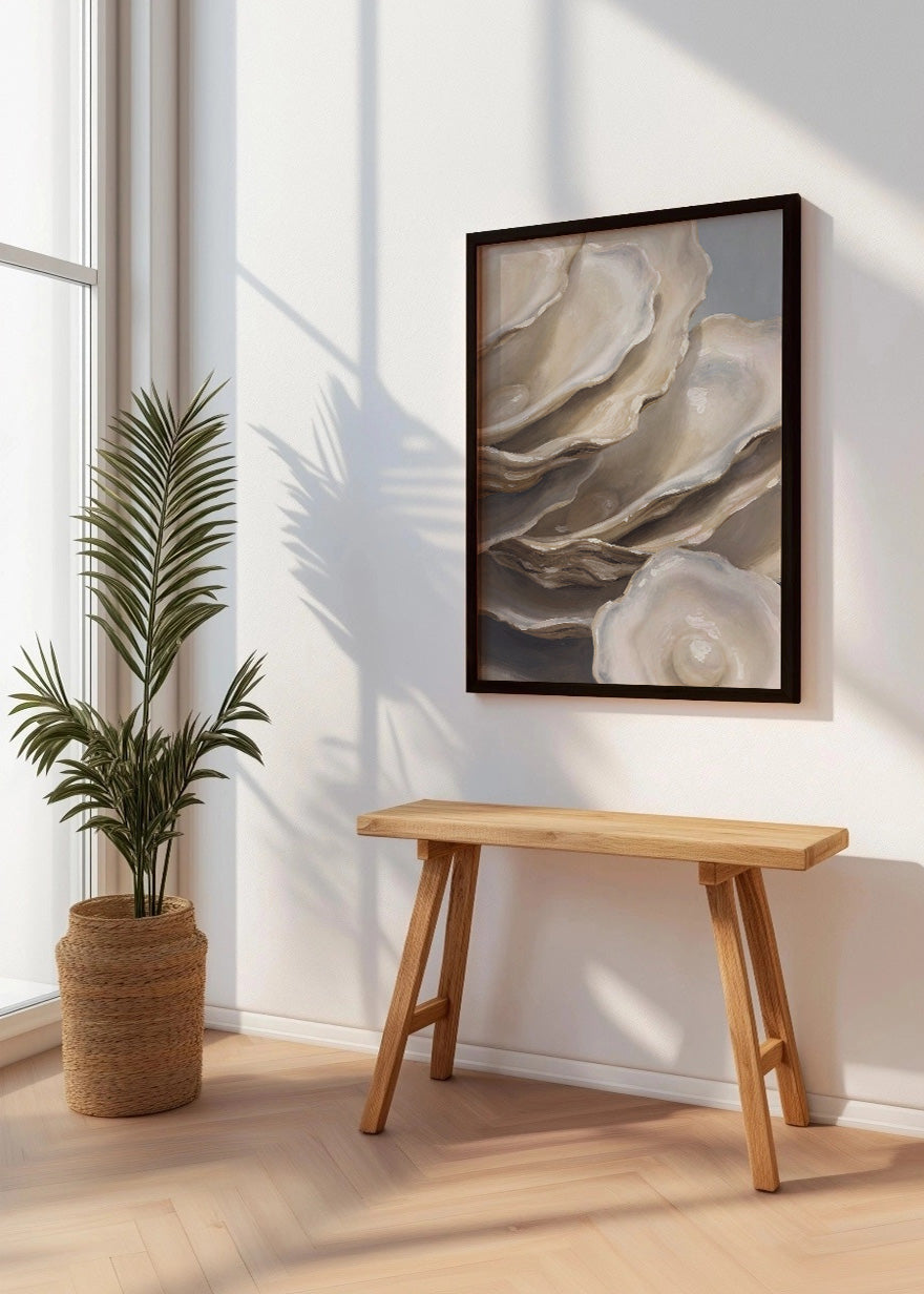 Cuadro Colección de conchas